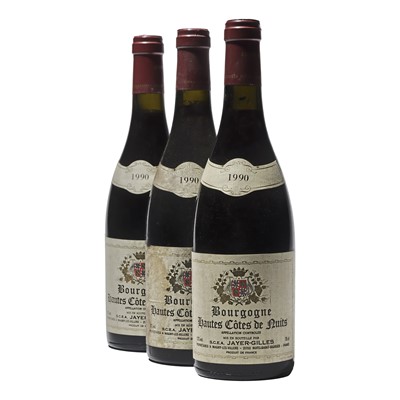 Lot 118 - 12 bottles 1990 Bourgogne Hautes-Cotes de Nuits Jayer-Gilles