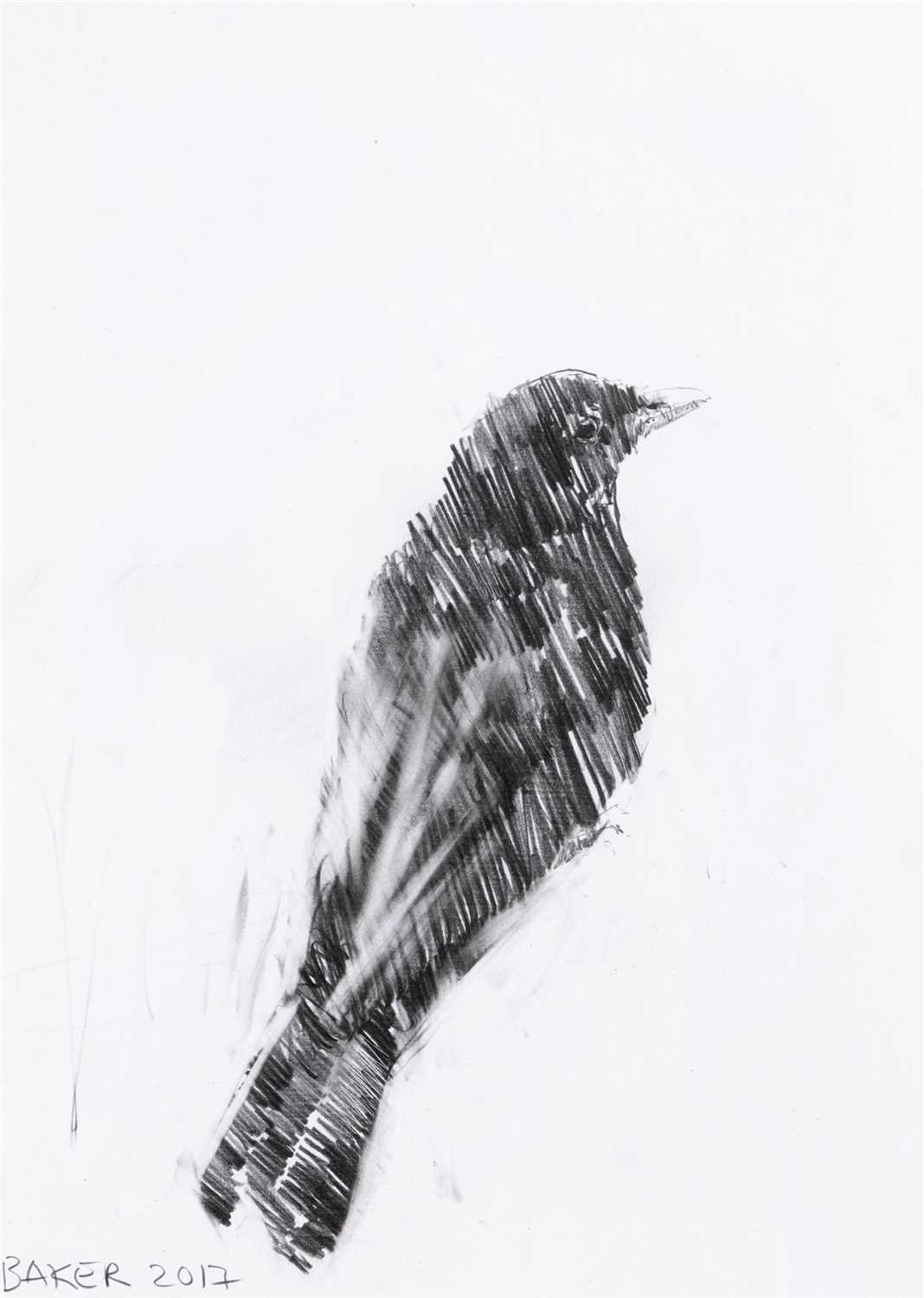 Lot 18 - Charming Baker (British b.1964), 'Bird Drawing', 2017