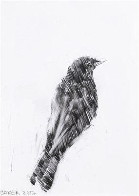 Lot 10 - Charming Baker (British b.1964), 'Bird Drawing', 2017