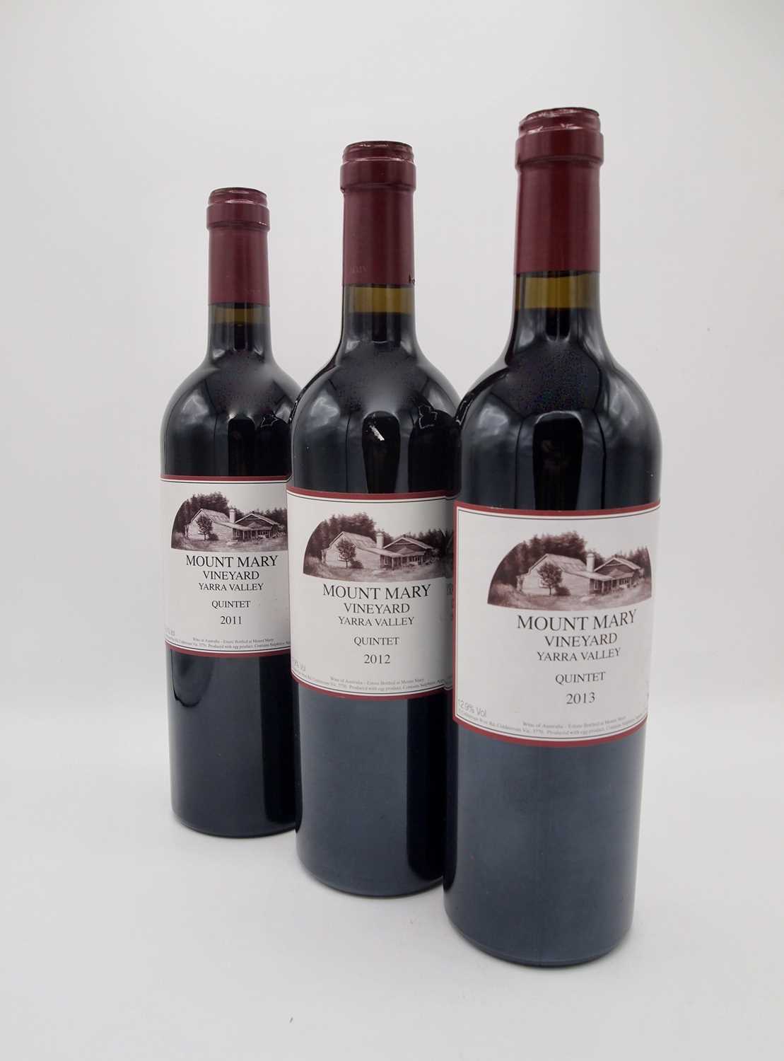 Lot 196 - 17 bottles Mixed Mount Mary Quintet (Yarra Valley)
