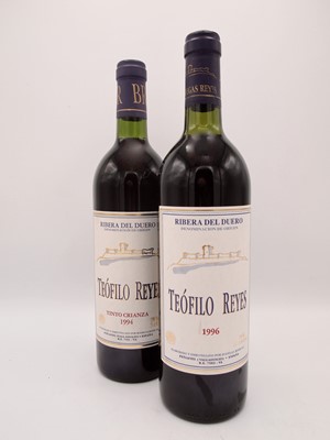 Lot 356 - 16 bottles Mixed Teofilo Reyes