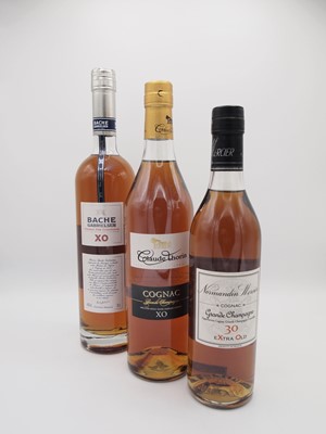 Lot 365 - 9 bottles Mixed Cognac