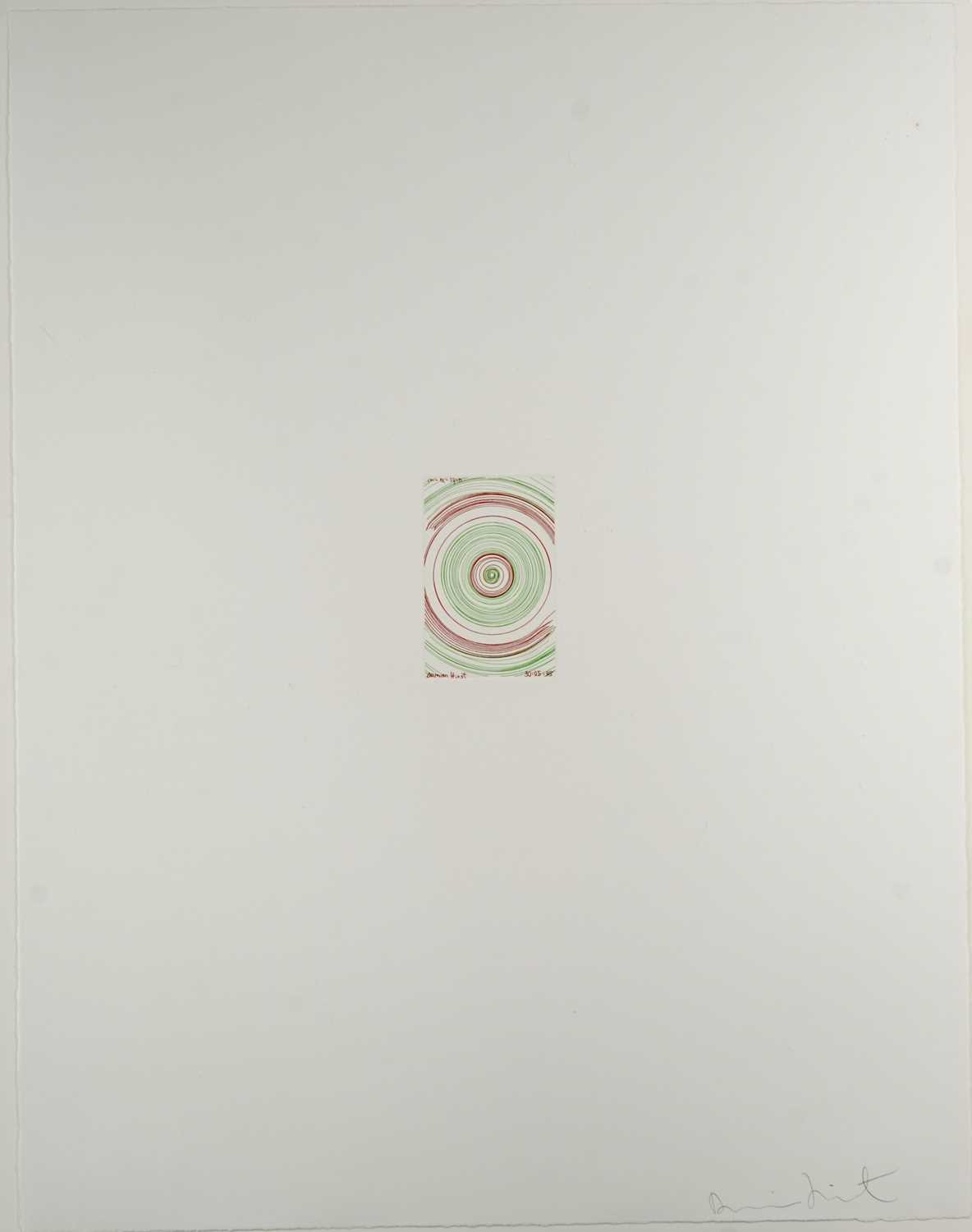 Lot 52 - Damien Hirst (British 1965-), 'In A Spin', 2002