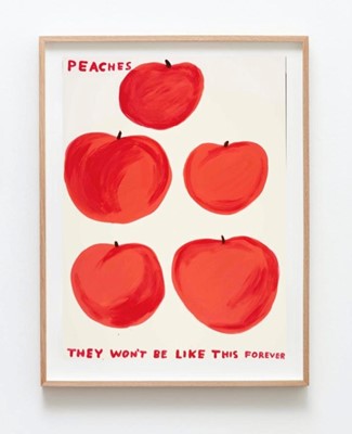 Lot 192a - David Shrigley (British 1968-), 'Peaches', 2020