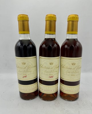 Lot 39 - 3 half-bottles 1996 Ch d'Yquem