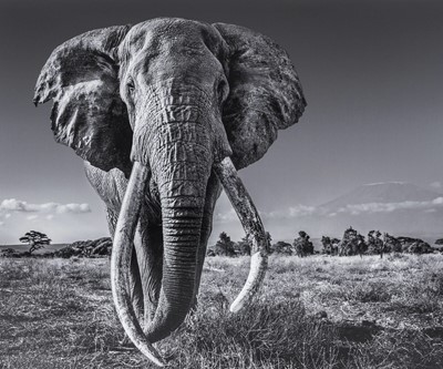 Lot 136a - David Yarrow (British 1966-), 'Space For Giants', 2020