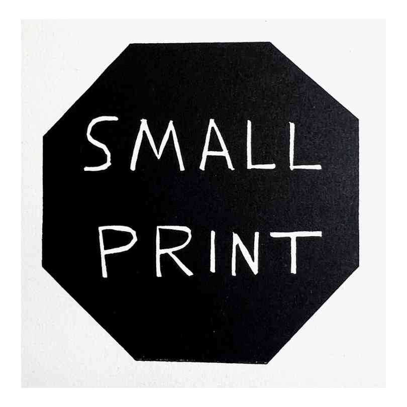 Lot 58 - David Shrigley (British 1968-), 'Small Print', 2022