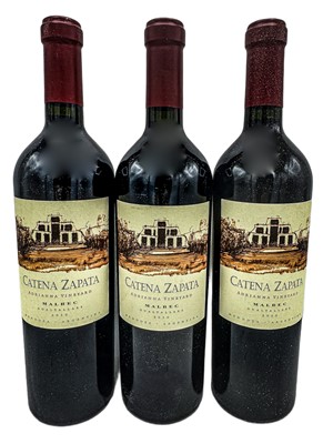 Lot 291 - 6 bottles 2010 Catena Zapata Adrianna Vineyard Malbec