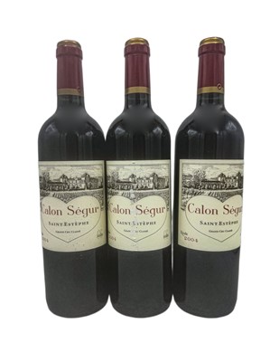 Lot 94 - 9 bottles 2004 Ch Calon Segur