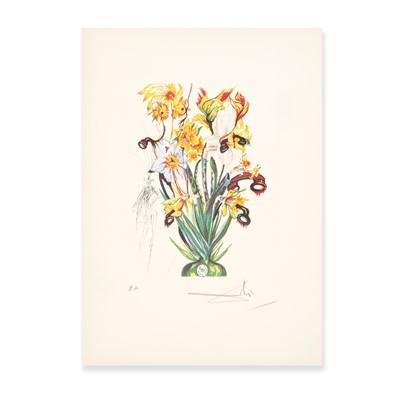 Lot 107 - Salvador Dali (Spanish 1904-1989), 'Narcissus Telephonans Inondis, from Surrealistic Flowers', 1972