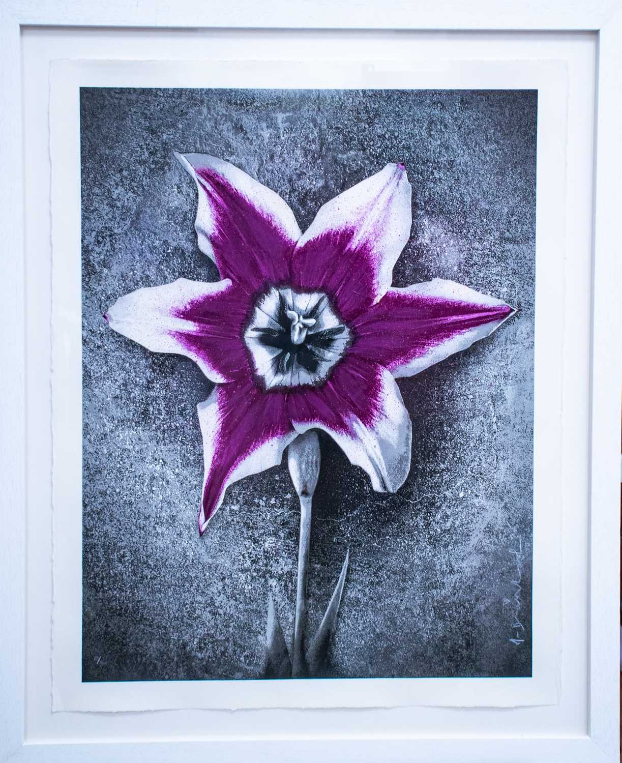 Lot 281 - Mr Brainwash (French 1966-), 'Life (Nepal)', 2015