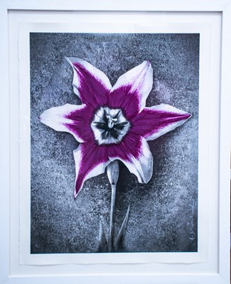 Lot 281-Mr Brainwash (French 1966-), 'Life (Nepal)', 2015