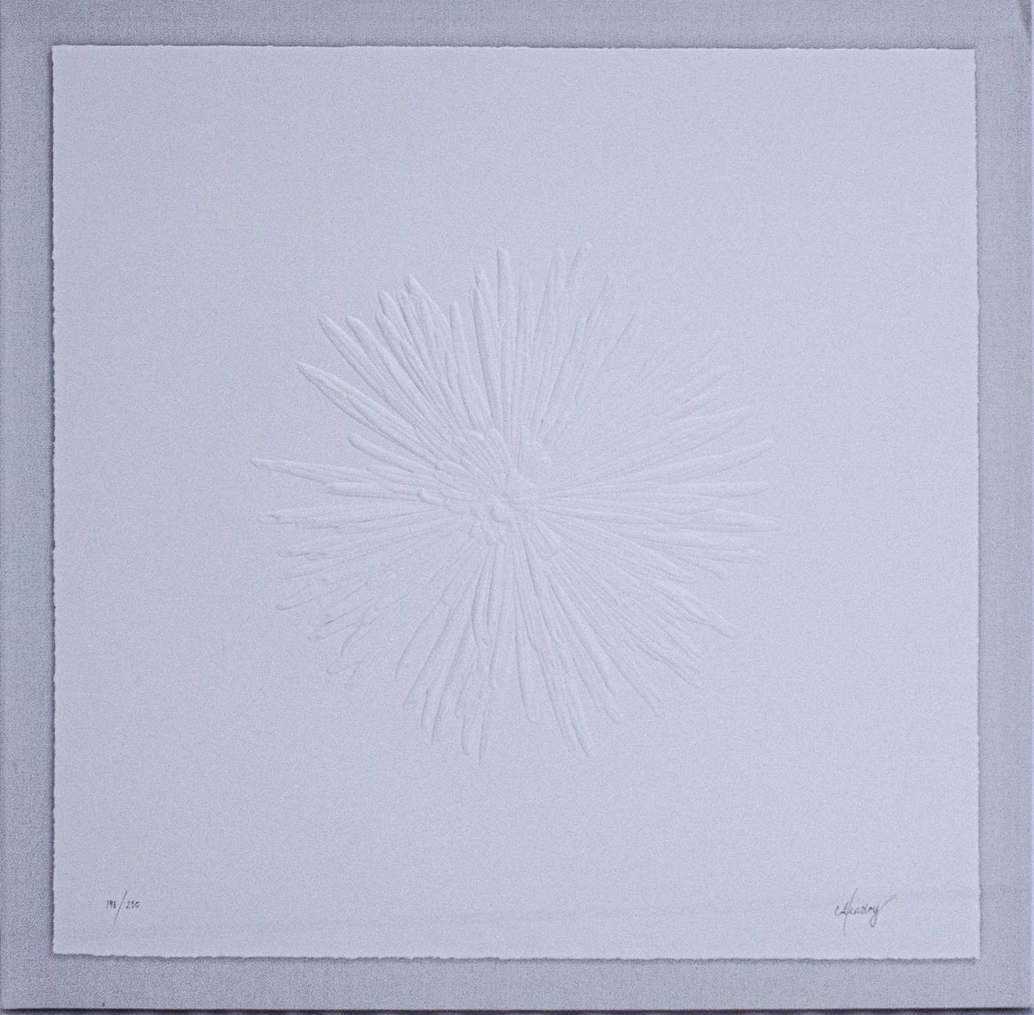 Lot 35 - CJ Hendry (Australian 1988-), 'Cherry', 2022