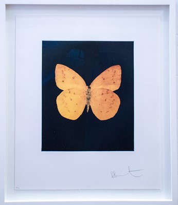 Lot 196 - Damien Hirst (British 1965-), 'Prosperity', 2009