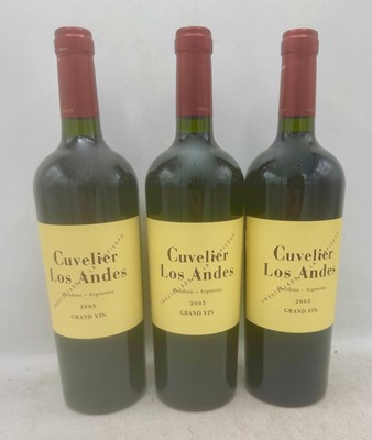 Lot 298 - 6 bottles 2005 Cuvelier Los Andes