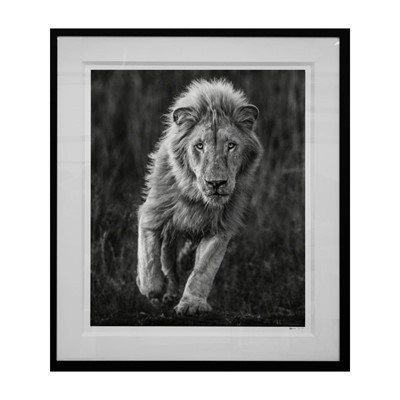 Lot 165 - David Yarrow (British 1966-), 'Thor', 2018