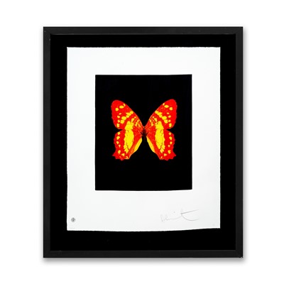 Lot 162 - Damien Hirst (British 1965-), 'Emerge, from Butterfly Etchings', 2009