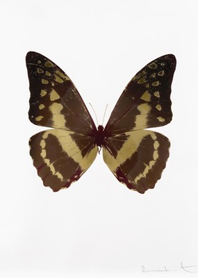 Lot 153 - Damien Hirst (British 1965-), 'The Souls III - Gunmetal/African Gold/Cool Gold', 2010
