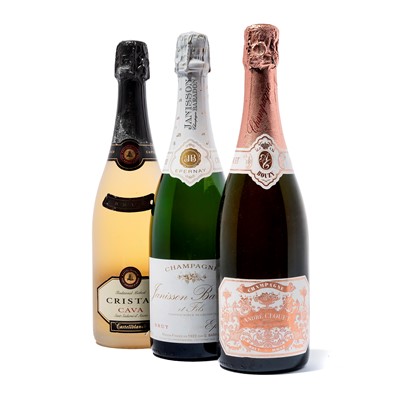 Lot 173 - 8 bottles Mixed Champagne and Cava