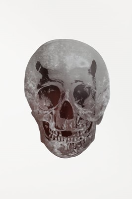Lot 33 - Damien Hirst (British 1965-), 'Silver Gloss/Chocolate Skull', 2009