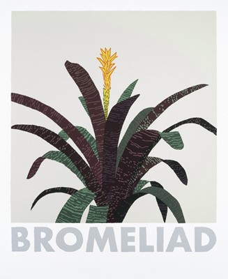 Lot 49 - Jonas Wood (American 1977-), 'Bromeliad', 2020