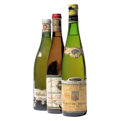 Lot 97 - 10 bottles Mixed White Wines