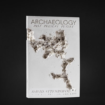 Lot 18 - Daniel Arsham (American 1980-), 'Fictional Nonfiction: Archaeology', 2019